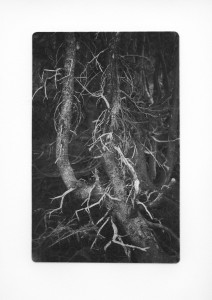 Sticks and Stones 11 